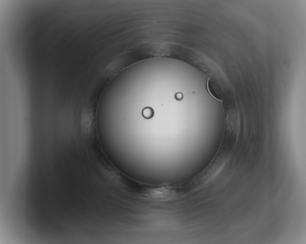 X0000102530092200808151605