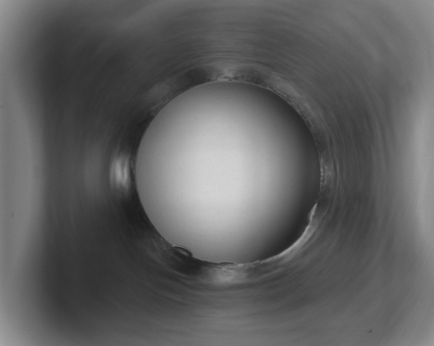 X0000102530094200808151605