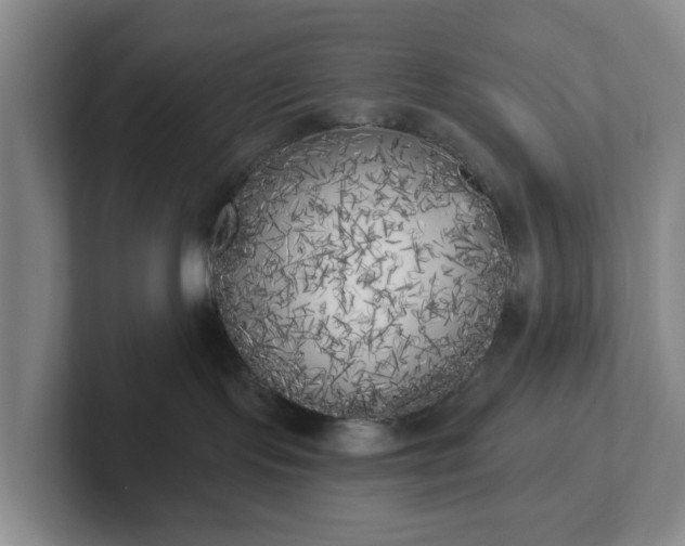 X0000102530095200808151605