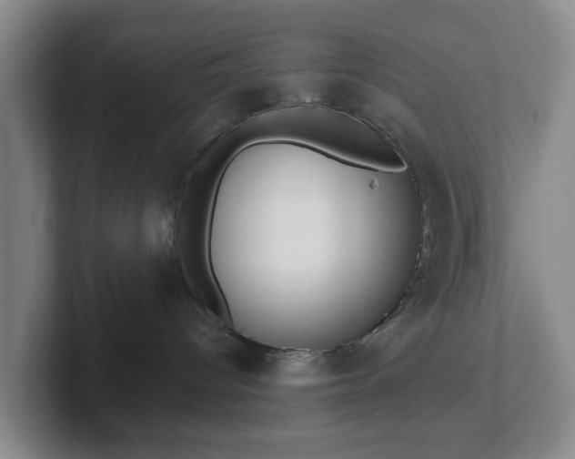 X0000102530096200808151605