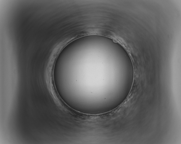 X0000102530097200808151604