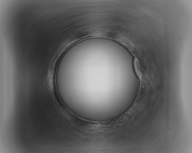 X0000102530098200808151604