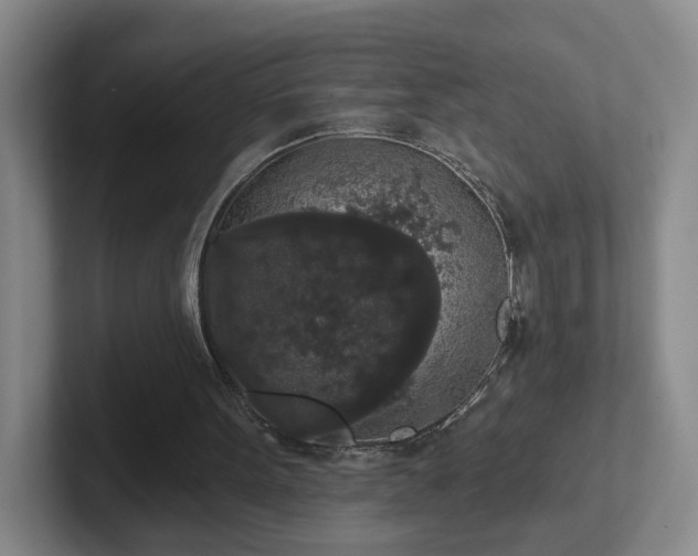 X0000102530099200808151604