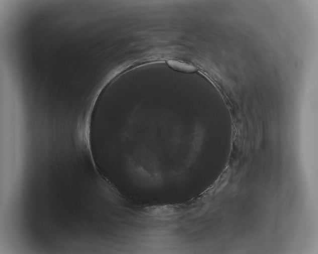 X0000102530100200808151604