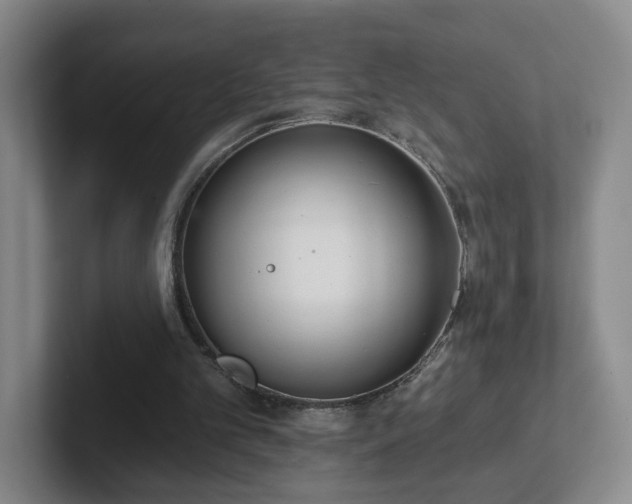 X0000102530101200808151604