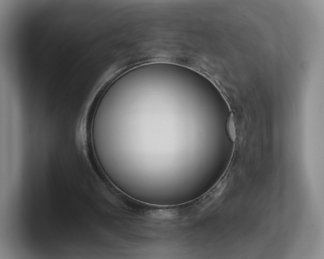 X0000102530102200808151604