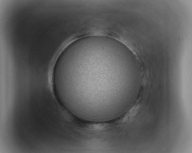 X0000102530103200808151604