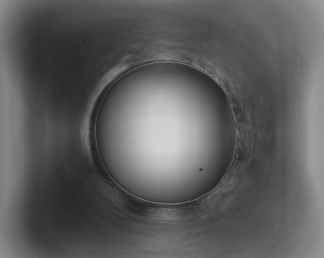 X0000102530104200808151604