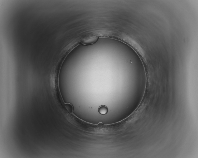 X0000102530105200808151604