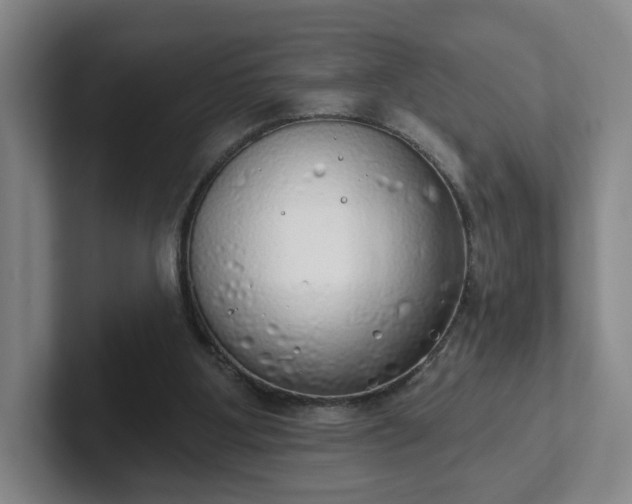 X0000102530107200808151604