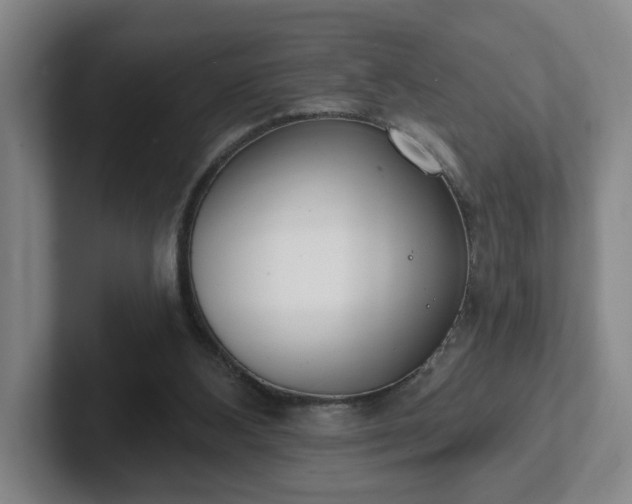 X0000102530108200808151604