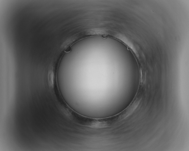 X0000102530109200808151604