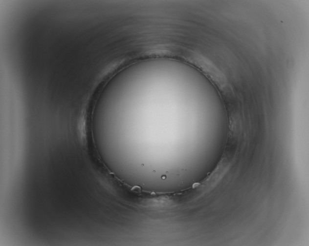 X0000102530112200808151604