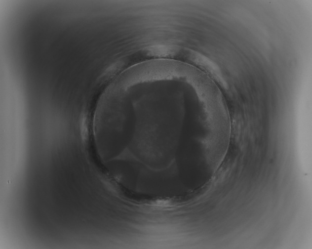 X0000102530114200808151604