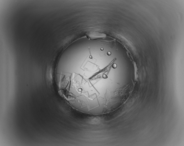X0000102530115200808151604