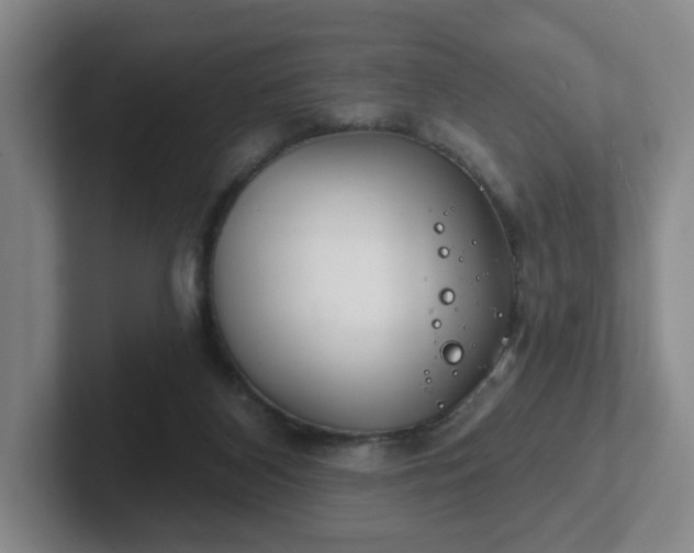 X0000102530116200808151604