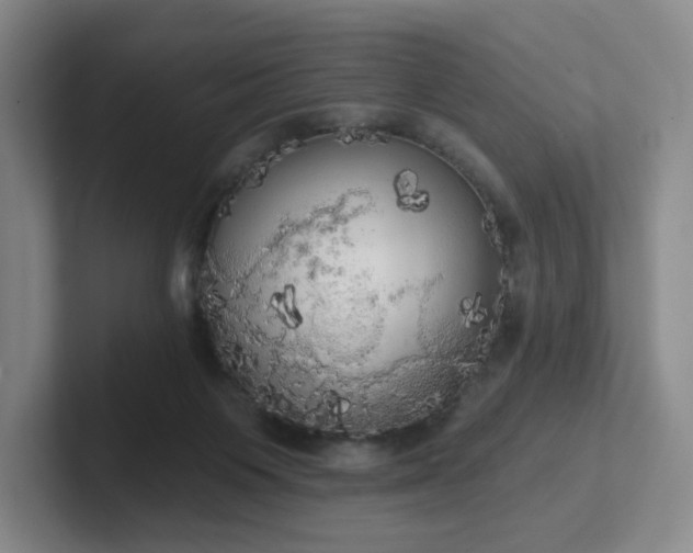 X0000102530119200808151604