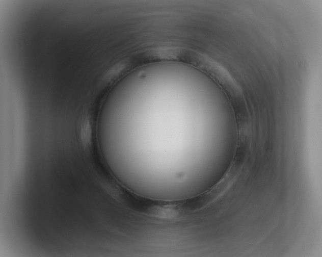 X0000102530120200808151604