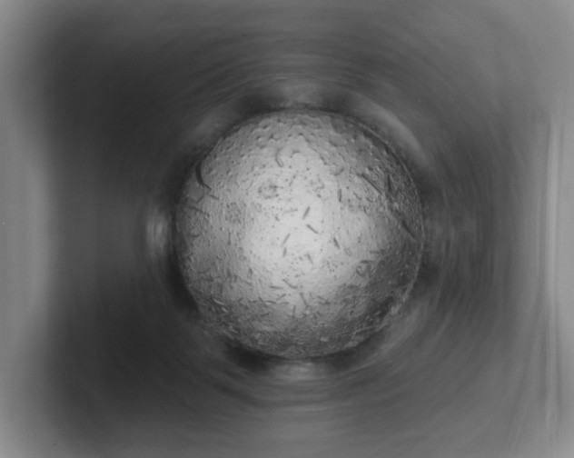 X0000102530123200808151604