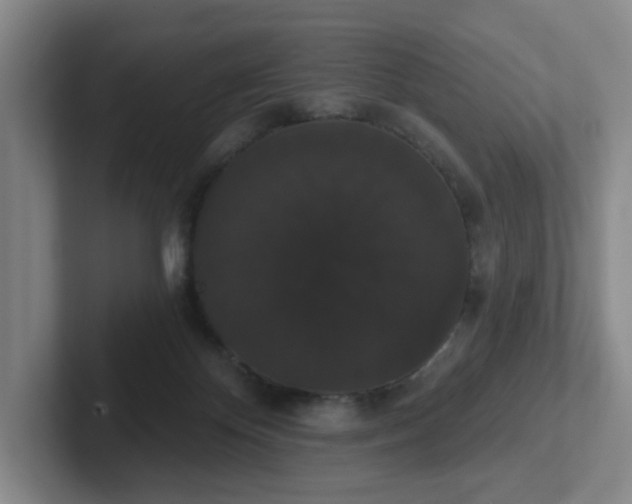 X0000102530124200808151604