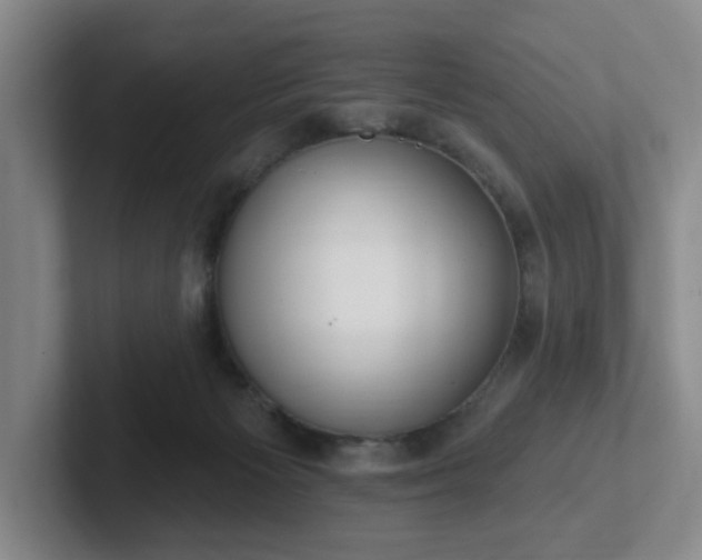 X0000102530125200808151604