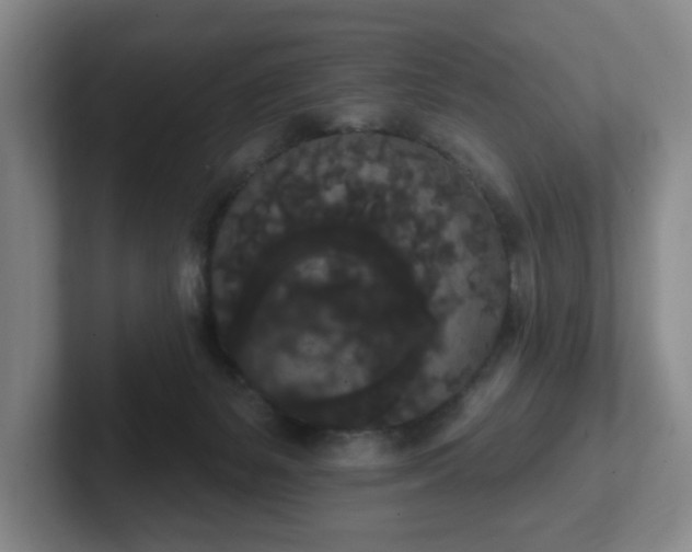 X0000102530127200808151604