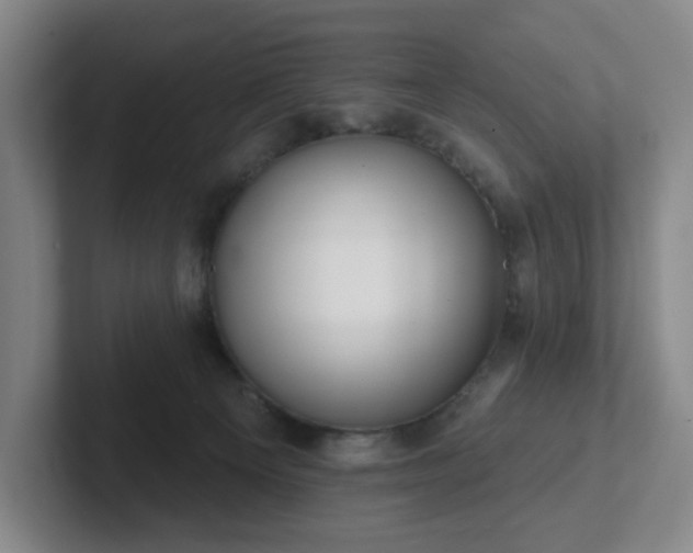 X0000102530129200808151604