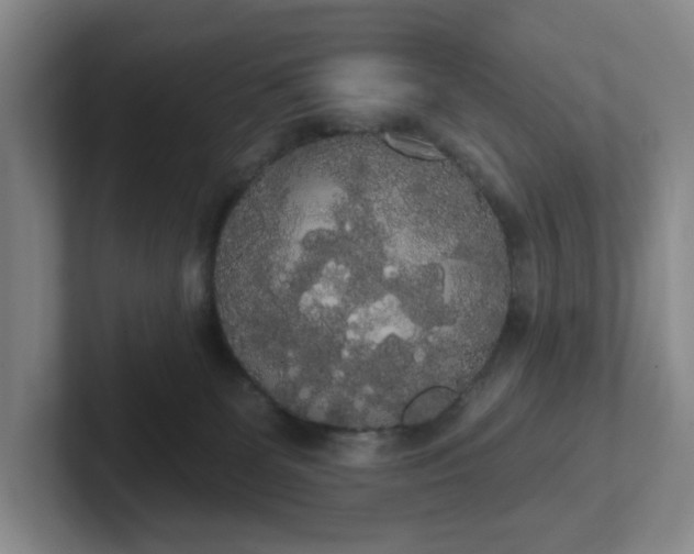 X0000102530131200808151604