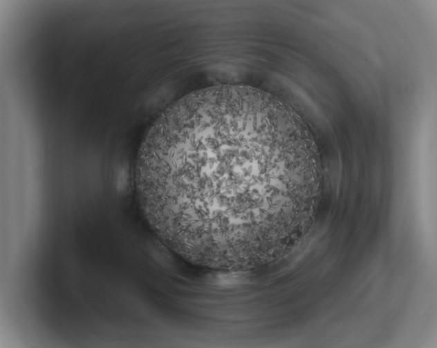 X0000102530134200808151604