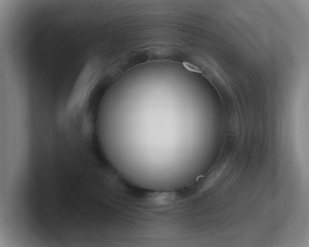 X0000102530135200808151604