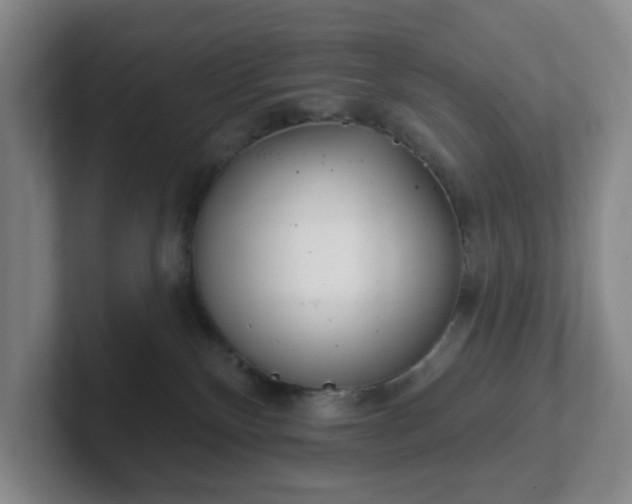 X0000102530136200808151604