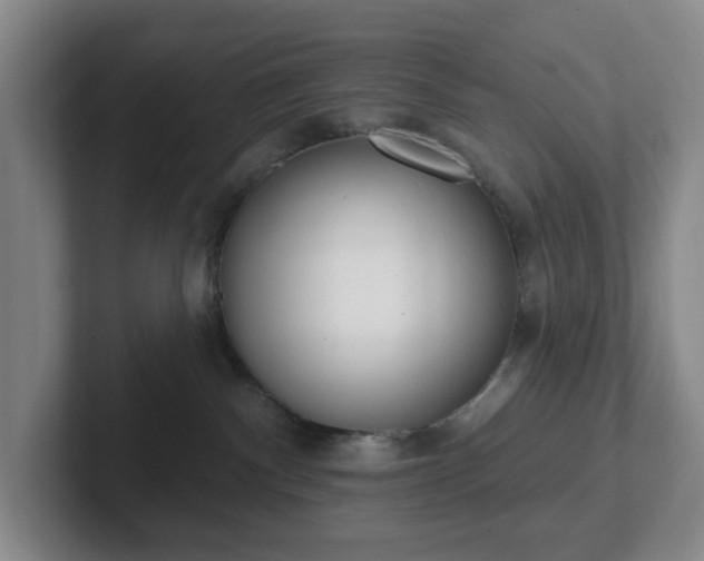 X0000102530140200808151604