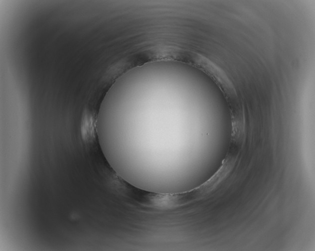 X0000102530142200808151604