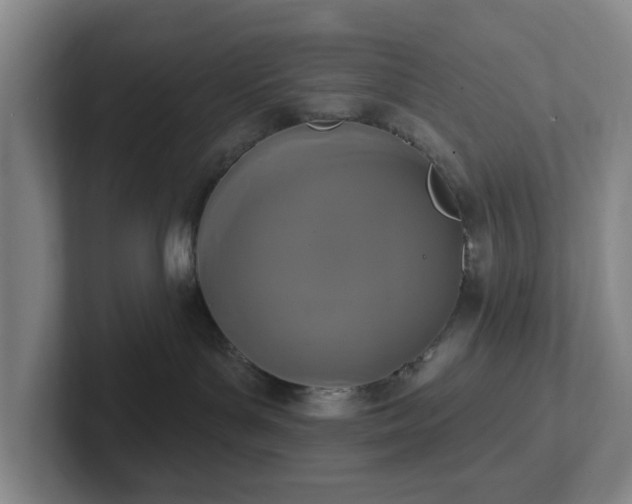 X0000102530143200808151604