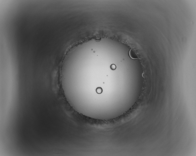 X0000102530144200808151604