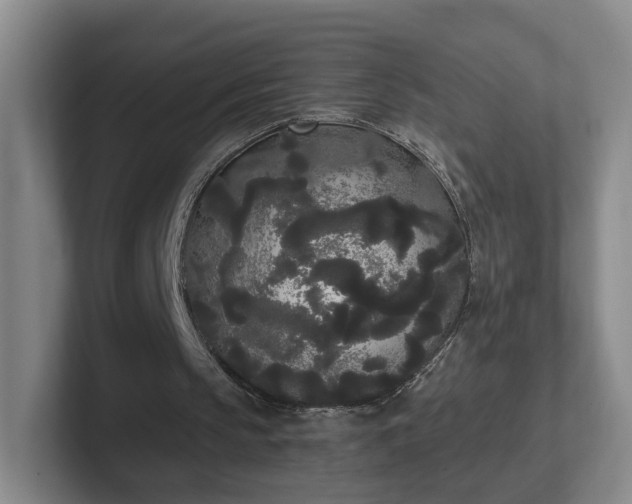 X0000102530145200808151603