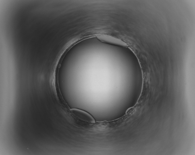 X0000102530148200808151603