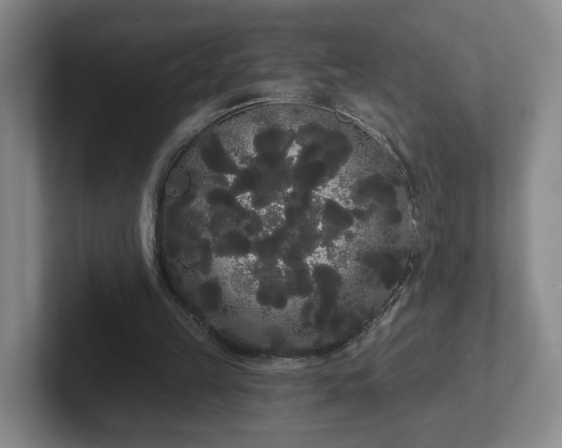 X0000102530149200808151603