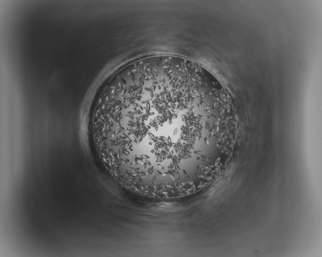 X0000102530151200808151603