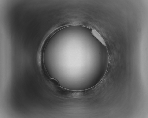 X0000102530152200808151603