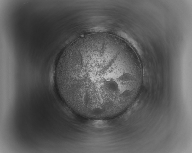 X0000102530153200808151603