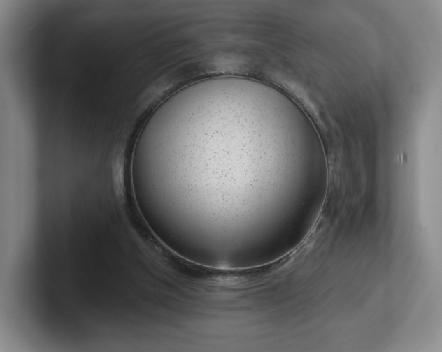 X0000102530154200808151603