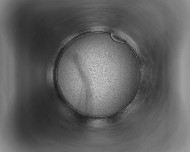 X0000102530155200808151603