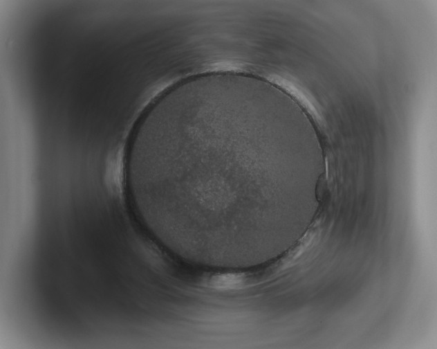 X0000102530156200808151603