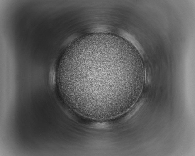 X0000102530157200808151603