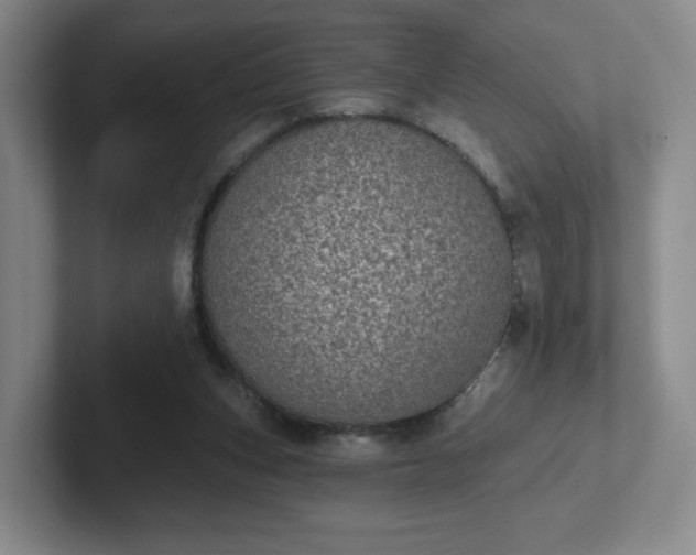 X0000102530159200808151603