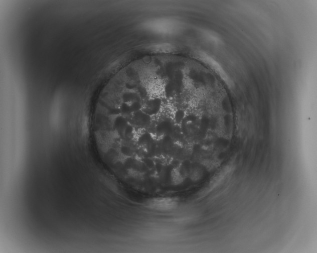 X0000102530161200808151603