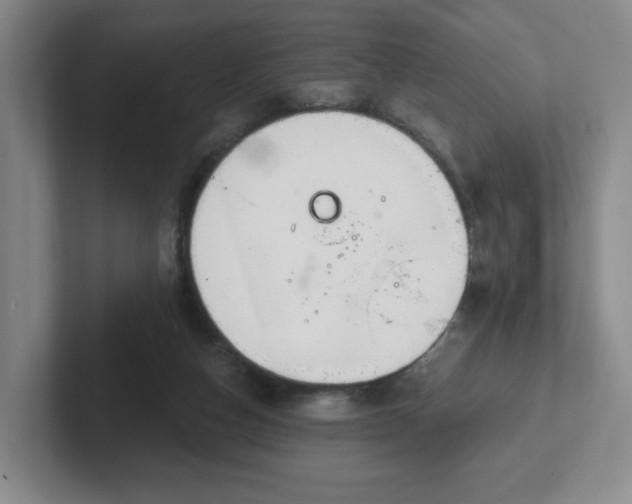 X0000102530162200808151603