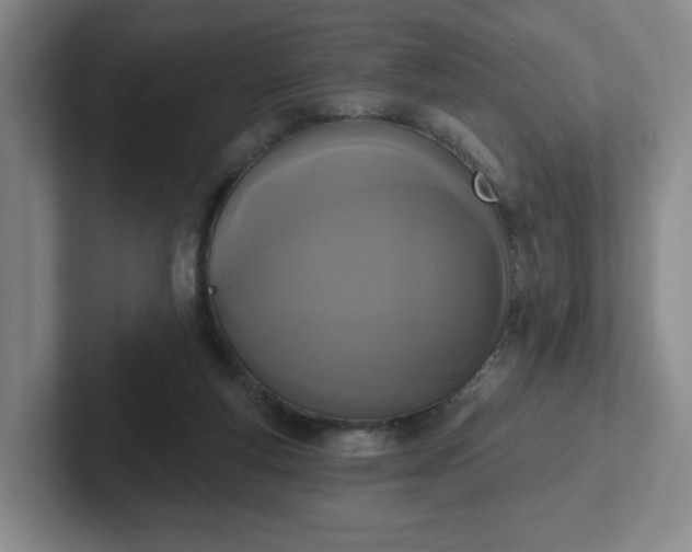 X0000102530163200808151603