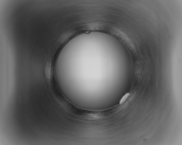 X0000102530164200808151603